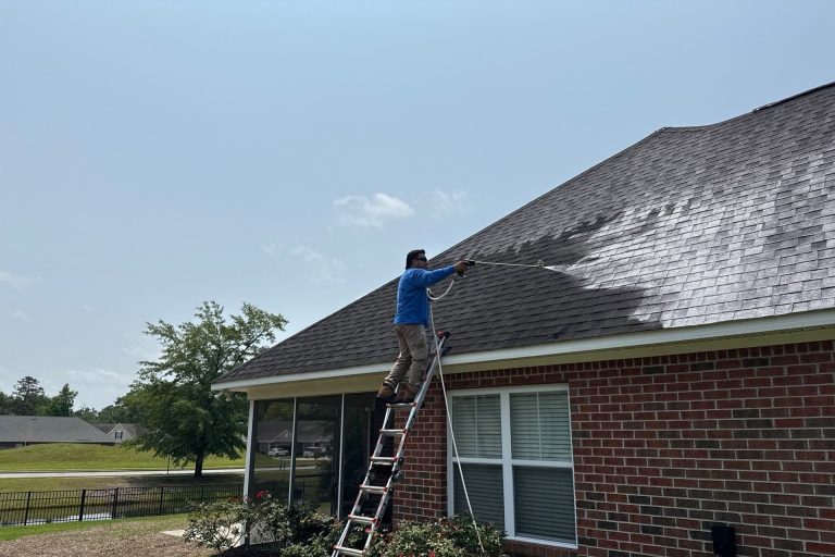 RoofRestor Roof Treatment in Leland, NC — project detail 2