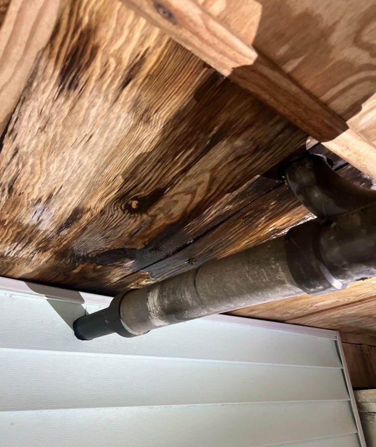 Oak Island Coastal Home Underside Ceiling and Insulation Removal — project detail 3